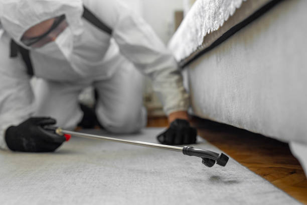 Professional Ant Control technician working in Wauna, WA
