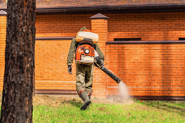 Trusted Rodent Control service in Wauna, WA - Nex Pest Control